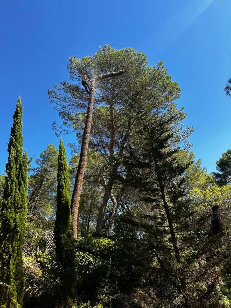 WhatsApp Image 2025 09 09 à 15.44.21 630870f7