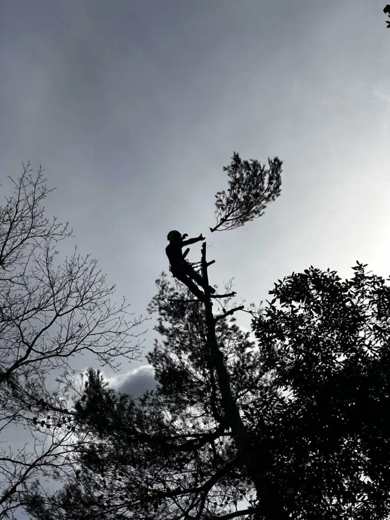 WhatsApp Image 2025 09 09 à 15.49.50 02c0e768