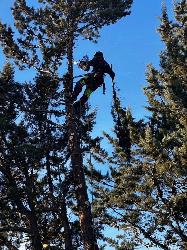 WhatsApp Image 2025 09 09 à 15.54.12 1934dbf0