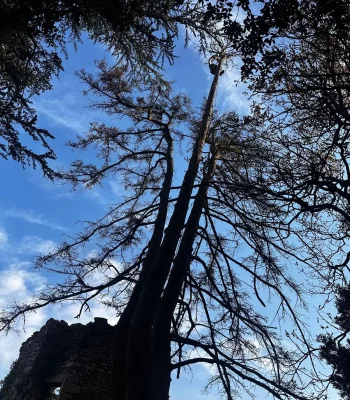 WhatsApp Image 2025-09-09 à 15.46.03_489cb7ab