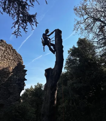 WhatsApp Image 2025-09-09 à 15.46.04_ec148208