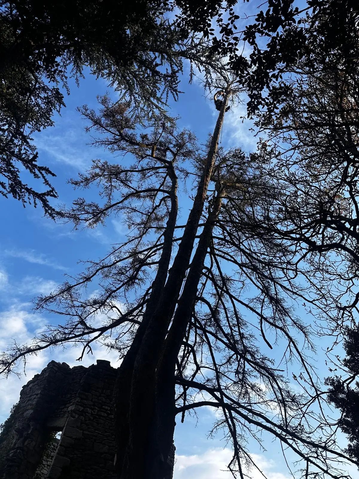 WhatsApp Image 2025-09-09 à 15.46.03_489cb7ab