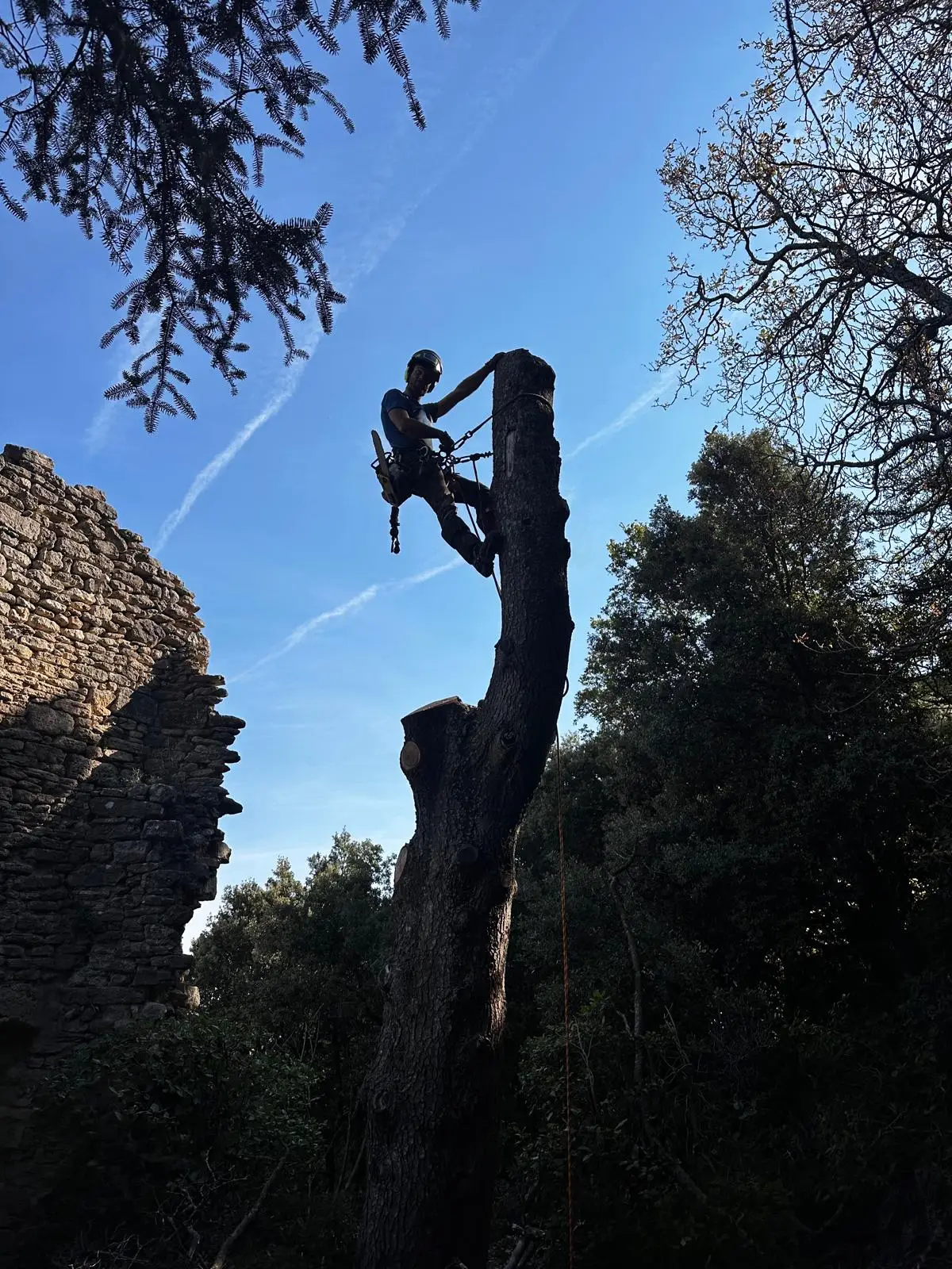 WhatsApp Image 2025-09-09 à 15.46.04_ec148208